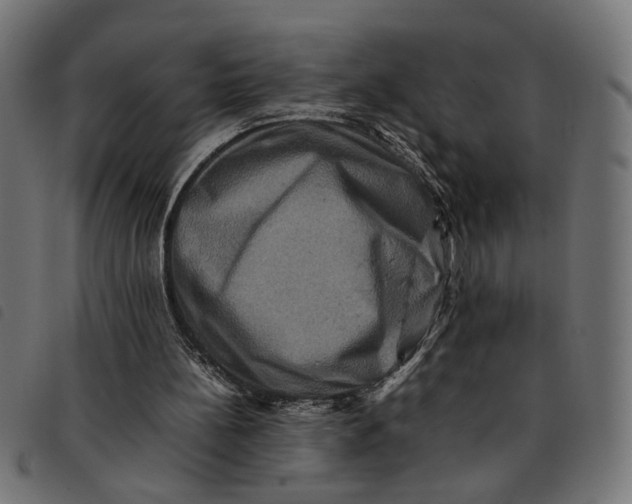 X0000092230148200710121225