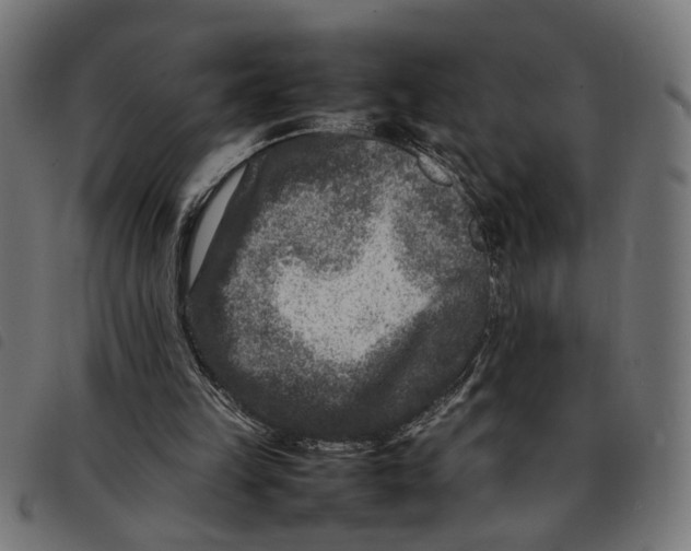 X0000092230149200710121225