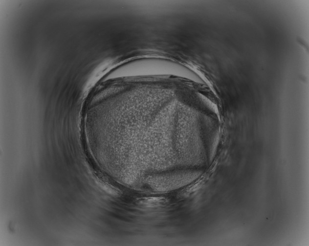 X0000092230151200710121225