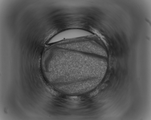 X0000092230153200710121225