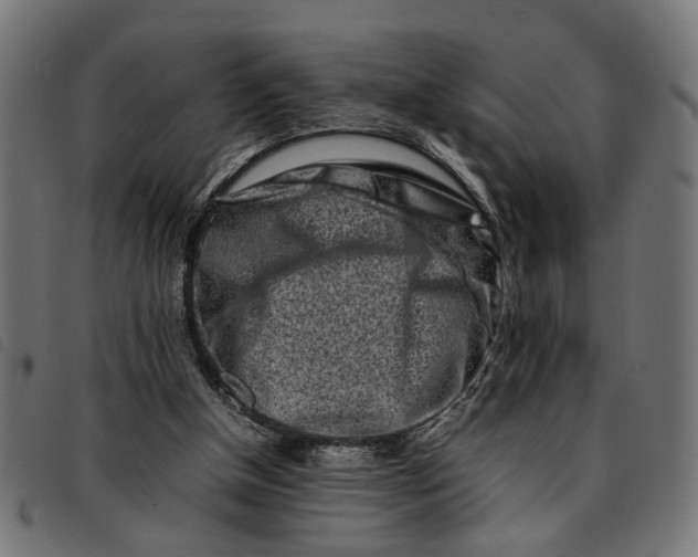 X0000092230154200710121225