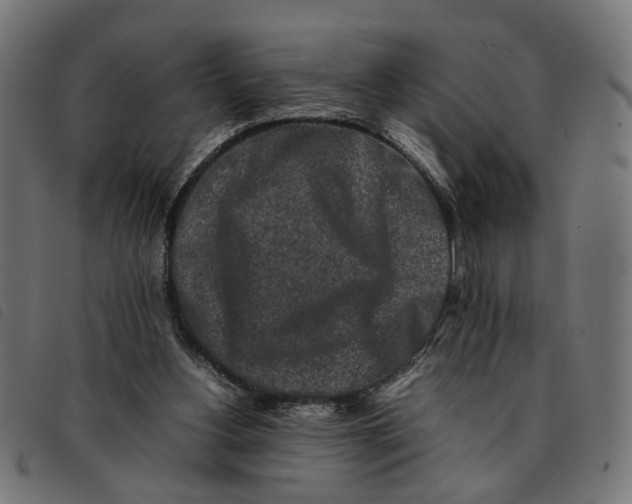 X0000092230156200710121225