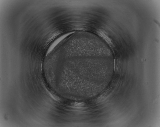 X0000092230157200710121225