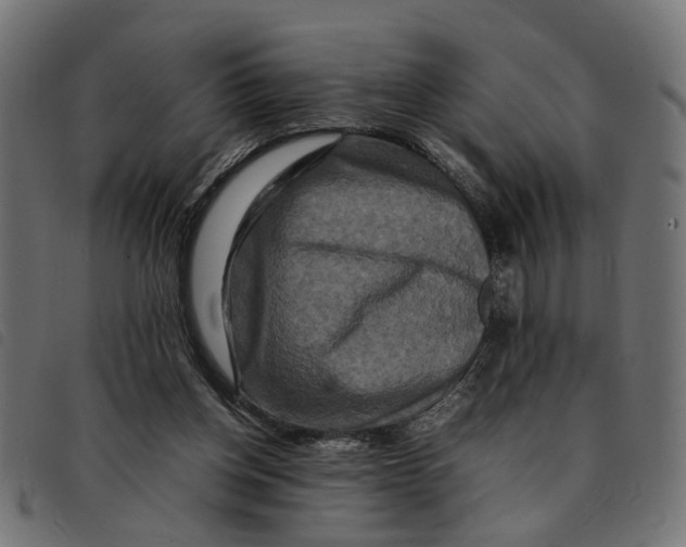 X0000092230158200710121225