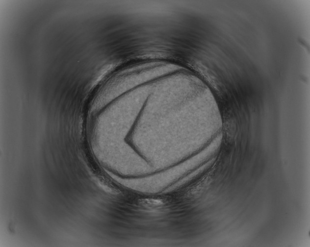 X0000092230159200710121225