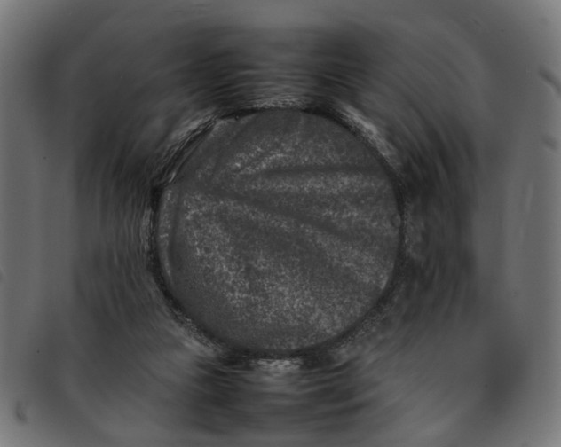 X0000092230161200710121225