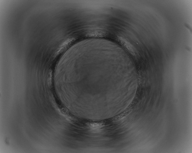 X0000092230163200710121225