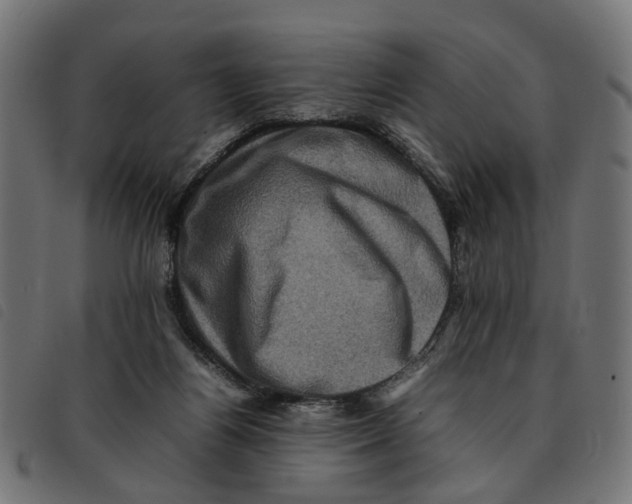 X0000092230164200710121225