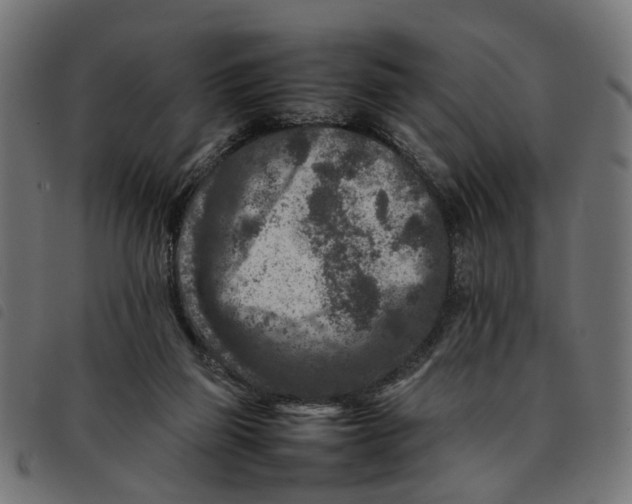 X0000092230165200710121225