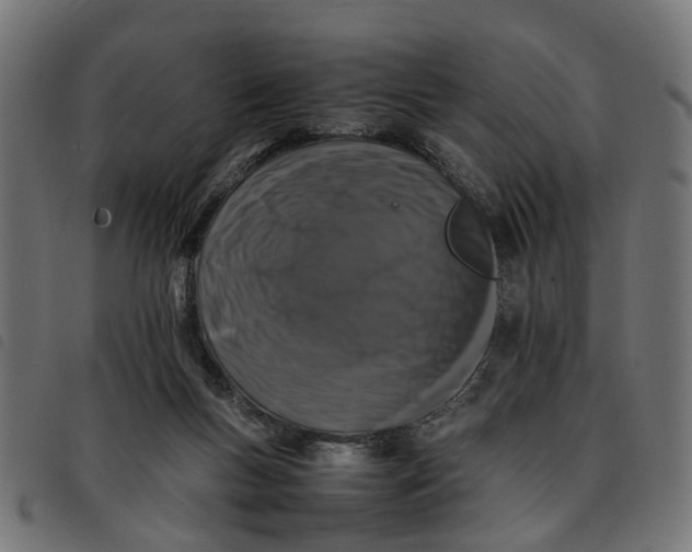 X0000092230167200710121225