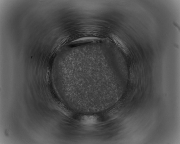 X0000092230169200710121225