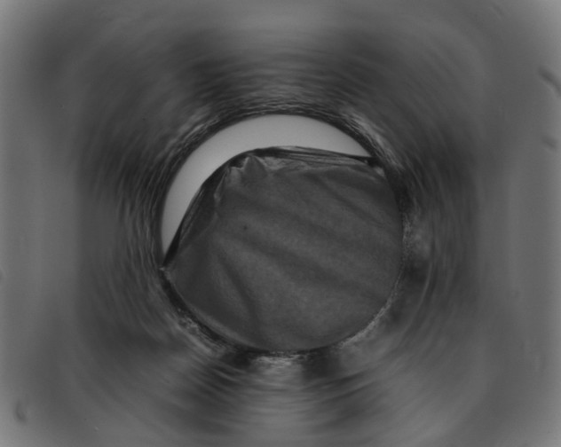 X0000092230170200710121225