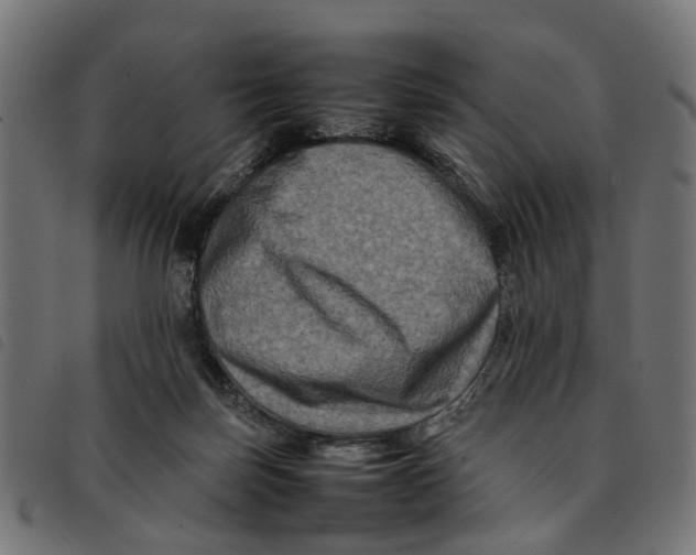 X0000092230171200710121225