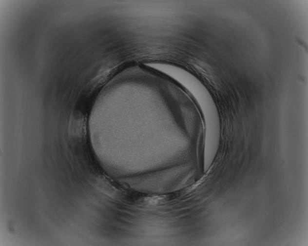 X0000092230172200710121225