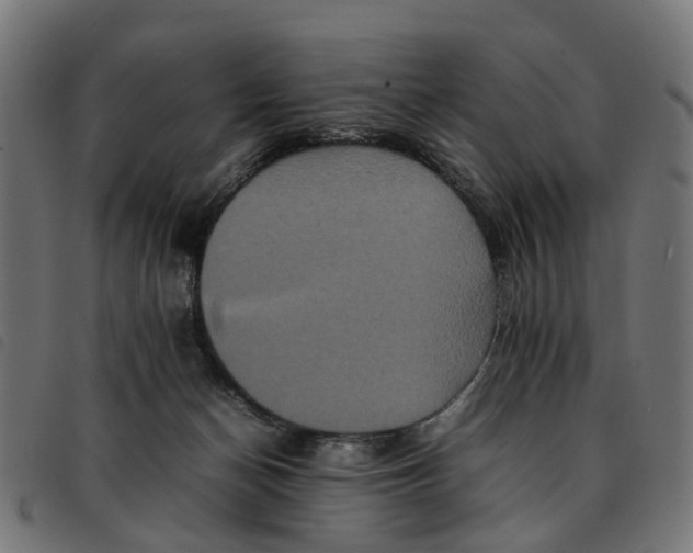 X0000092230174200710121225