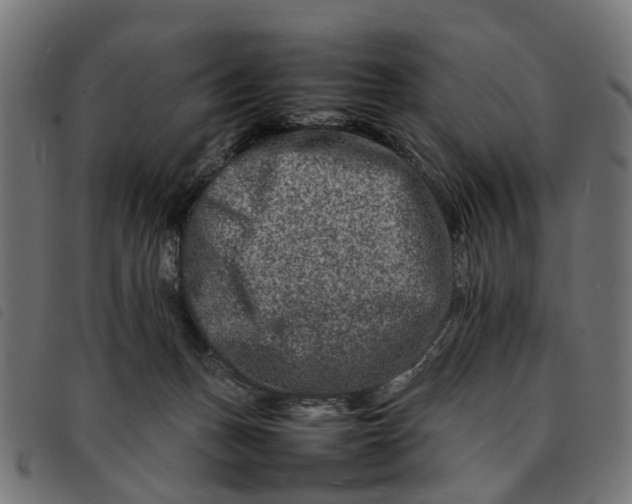 X0000092230175200710121225