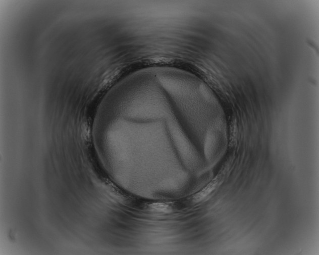 X0000092230176200710121225