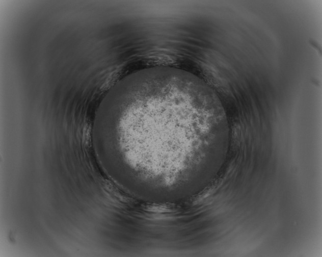 X0000092230177200710121225