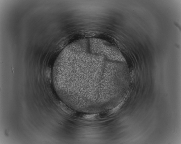 X0000092230178200710121225