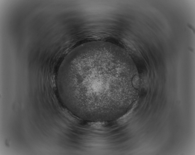 X0000092230182200710121225