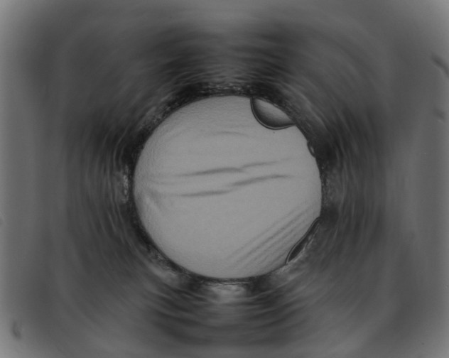 X0000092230183200710121225