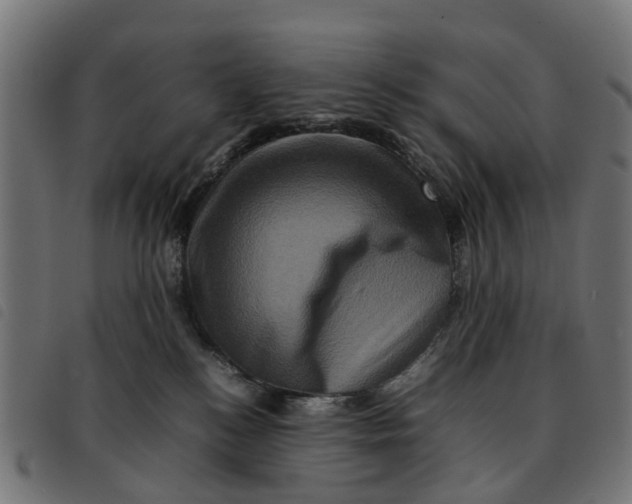 X0000092230184200710121225