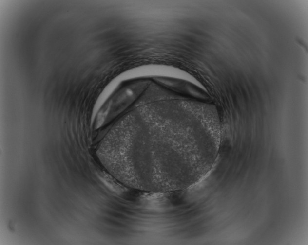 X0000092230186200710121225