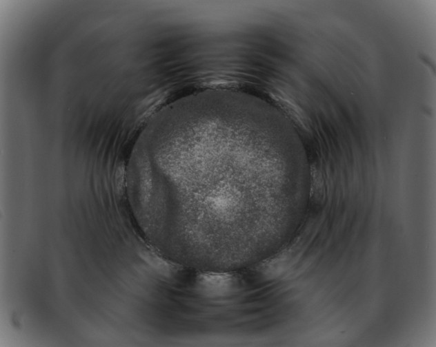 X0000092230189200710121225