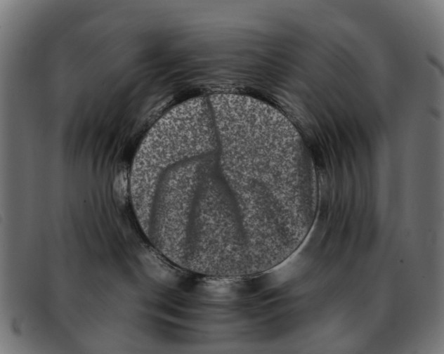 X0000092230190200710121225