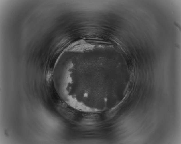 X0000092230191200710121225