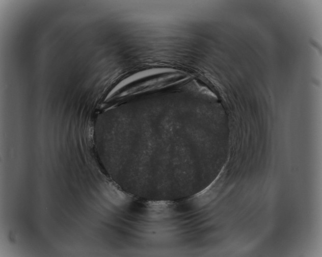 X0000092230192200710121225