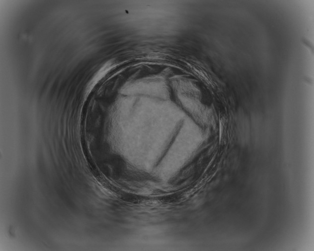 X0000092230195200710121225