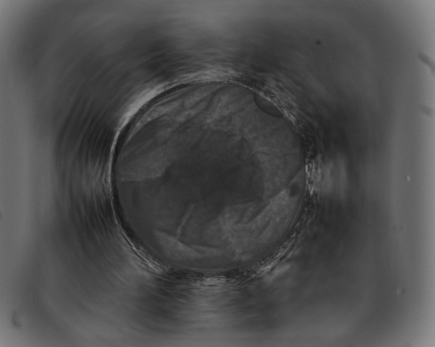 X0000092230196200710121225