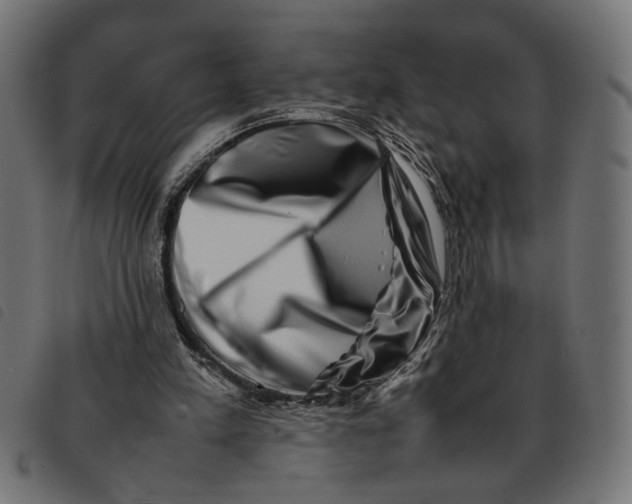 X0000092230197200710121225