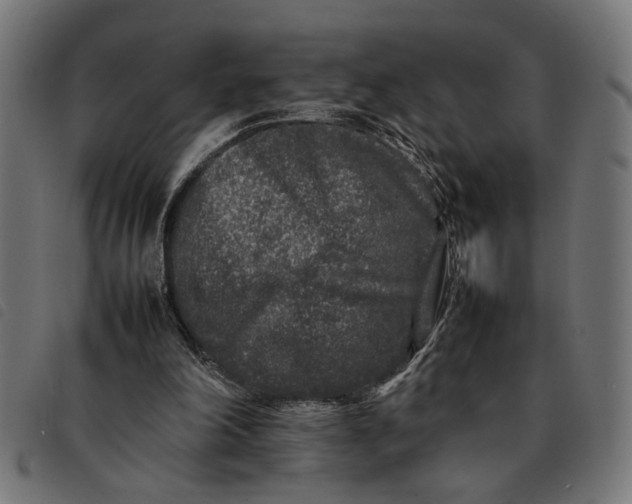 X0000092230198200710121225