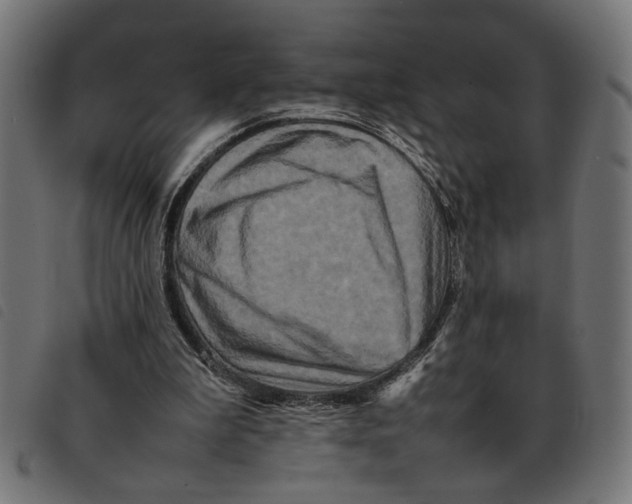 X0000092230199200710121225