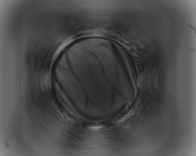 X0000092230200200710121225