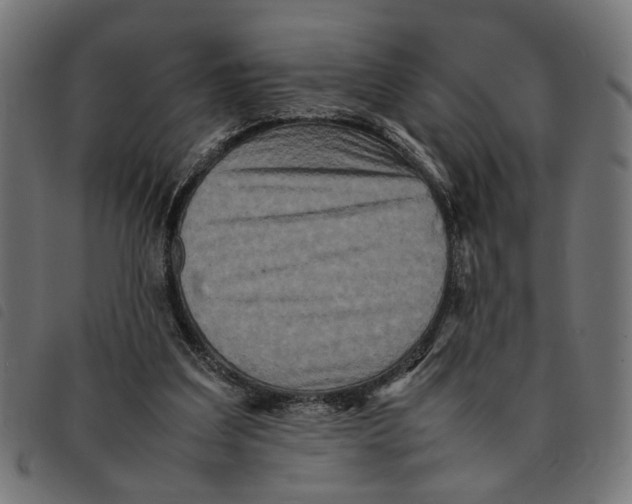 X0000092230203200710121225