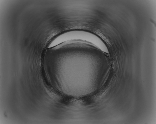 X0000092230207200710121225