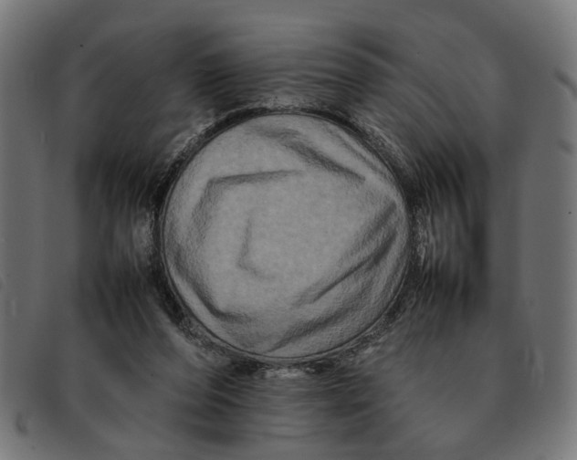 X0000092230208200710121225