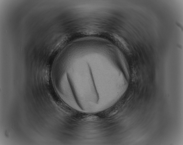 X0000092230210200710121225