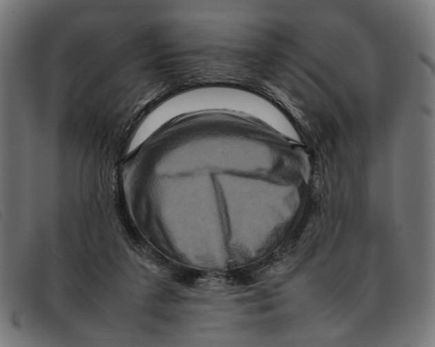 X0000092230211200710121225