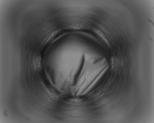 X0000092230212200710121225