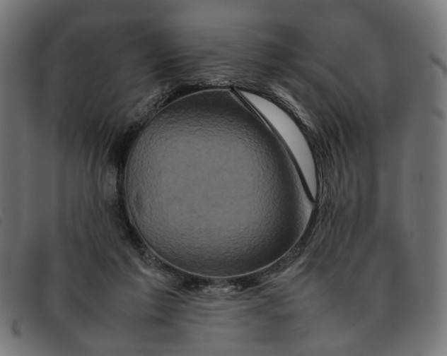 X0000092230213200710121225