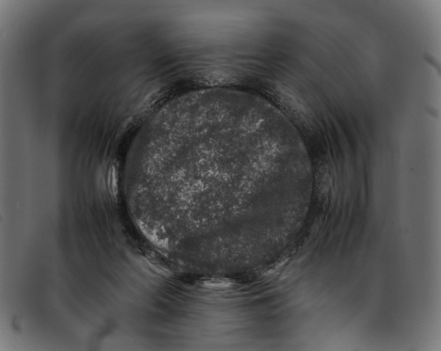 X0000092230214200710121225