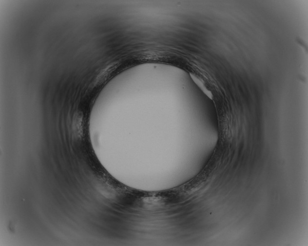 X0000092230216200710121225