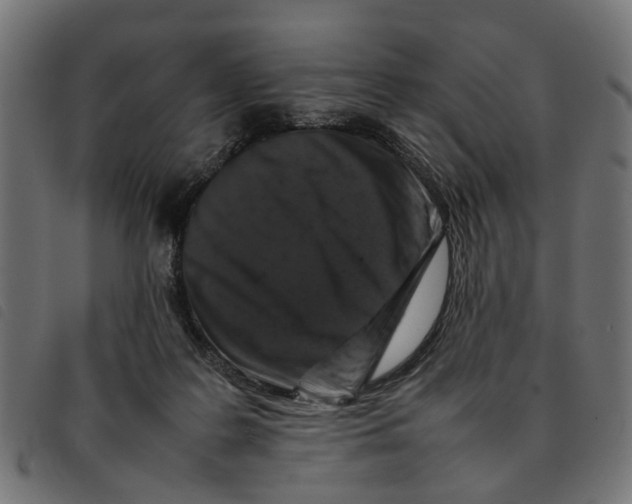 X0000092230219200710121224