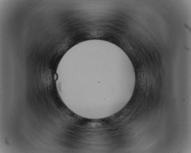 X0000092230220200710121224