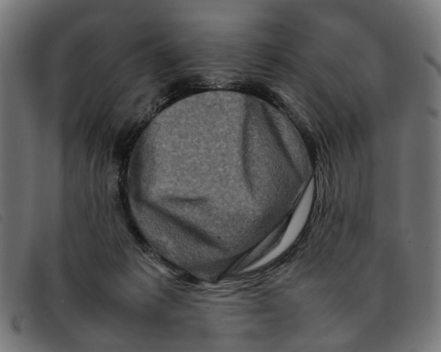 X0000092230221200710121224