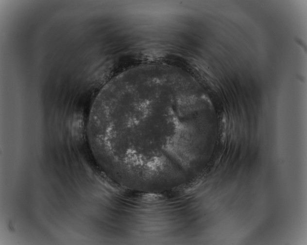 X0000092230222200710121224